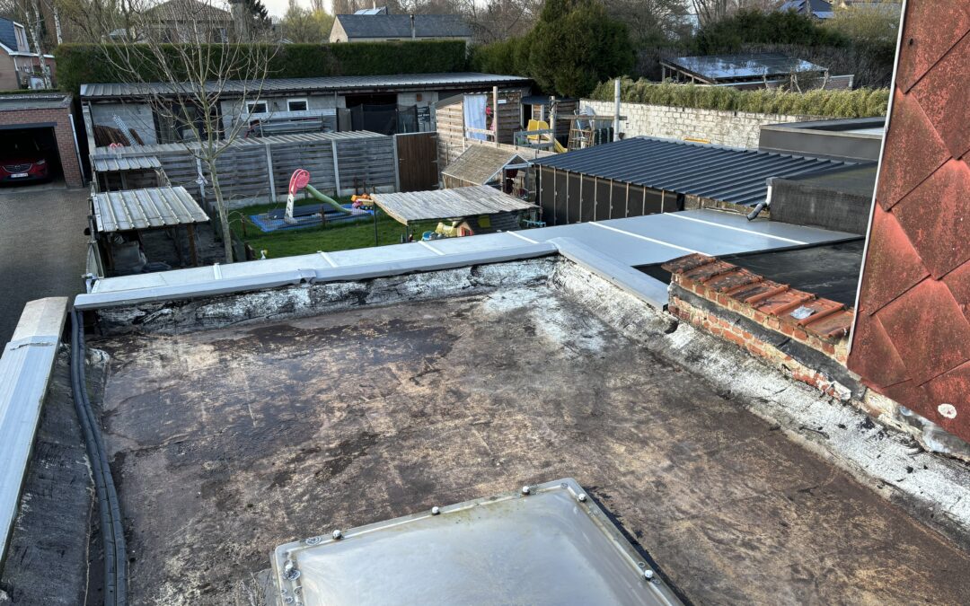 Project Muizen: renovatie plat dak